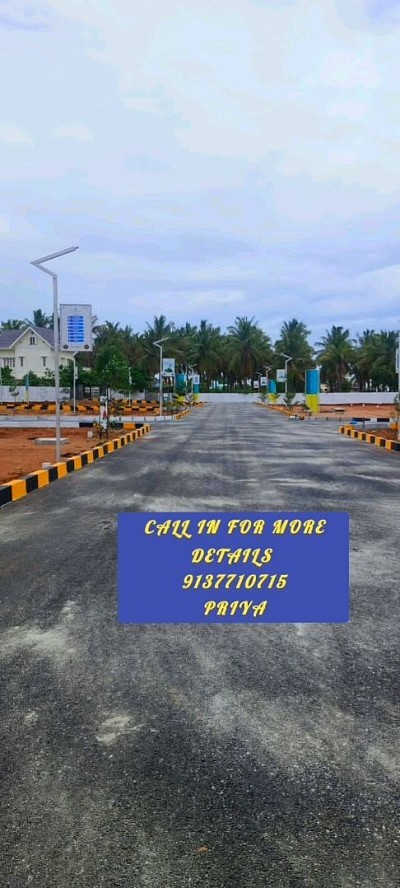 VIP CITY FINE ASSETS LOCATION SULUR